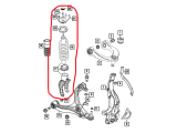 Front Strut, LH