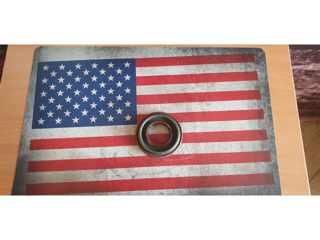 Differential Pinion Seal