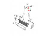 Charge Air Cooler Duct