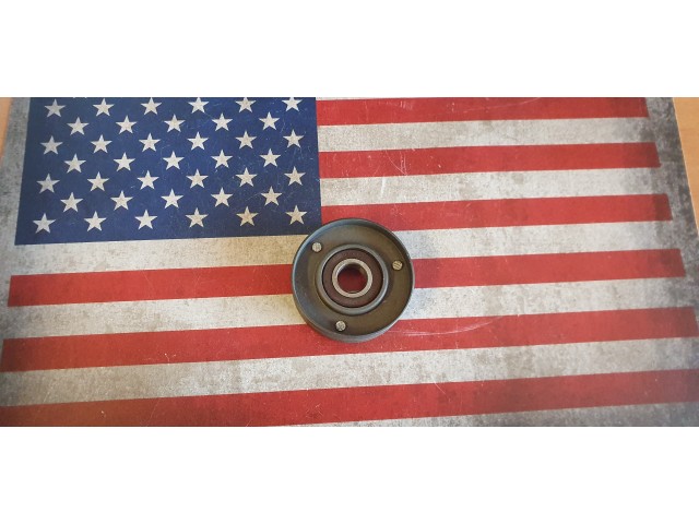Belt guide (parasitic) bearing