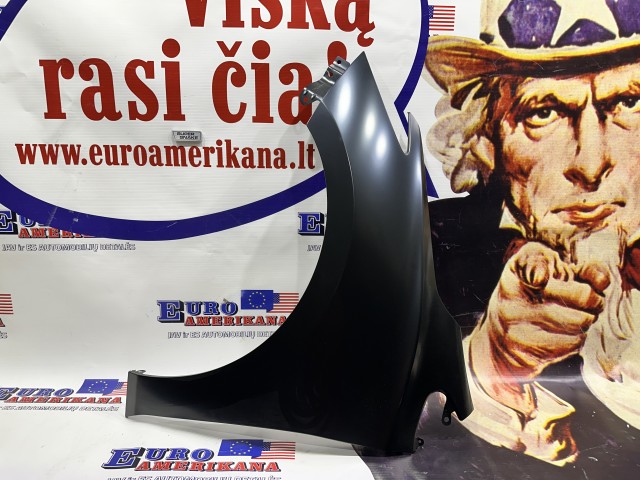 Front Fender (Left Side)