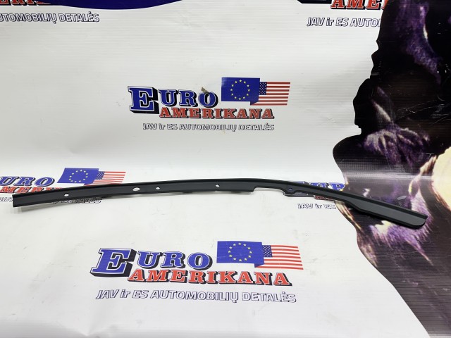 Bumper Trim