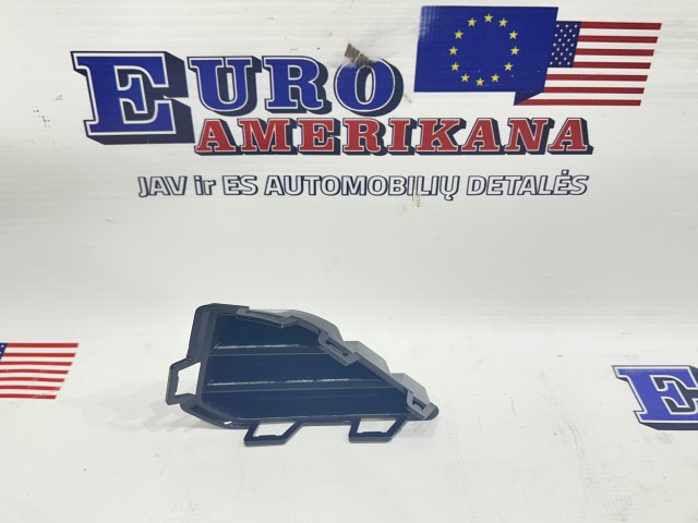 Grille Cover, LH