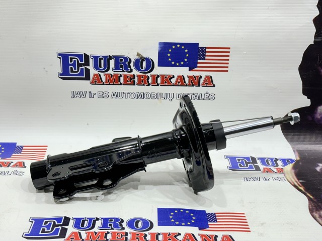 Front Suspension Strut (Right Side)