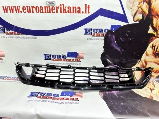 Lower Grille
