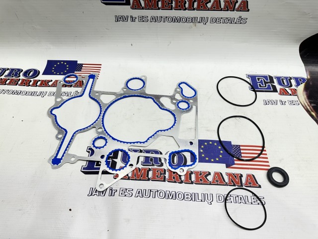 Timing Cover Gasket