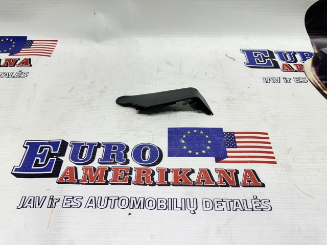 Center Panel Cover (right)