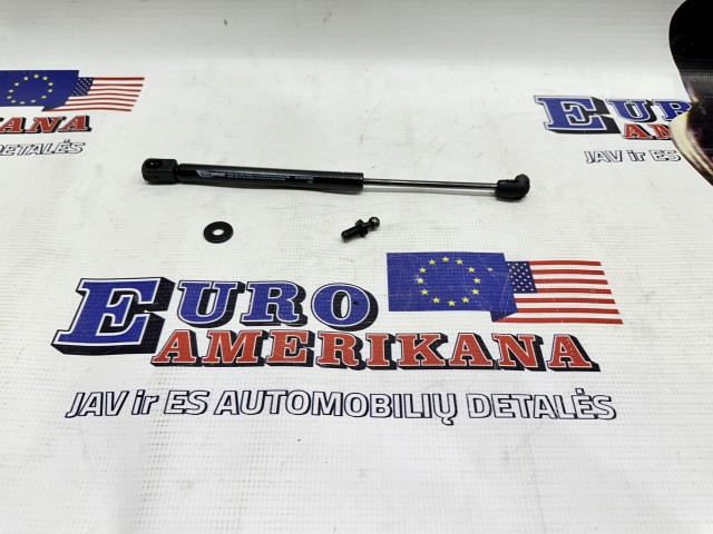 Trunk Lift Support
