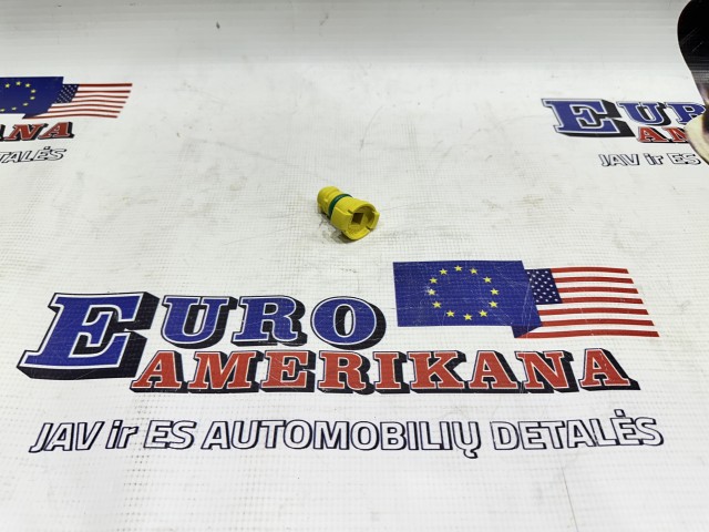 Oil Drain Plug