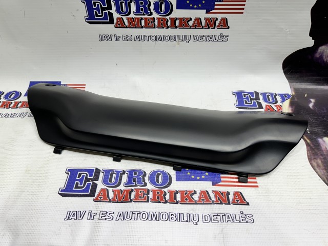 Front Bumper Bezel