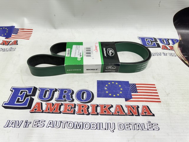 Serpentine Belt