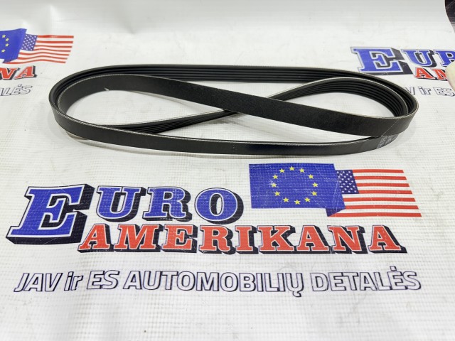 Serpentine Belt