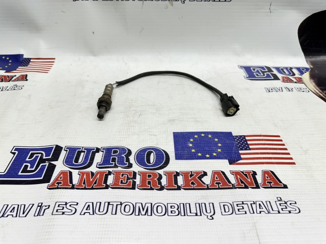 O2 Sensor