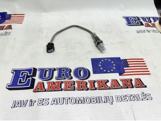 Oxygen Sensor