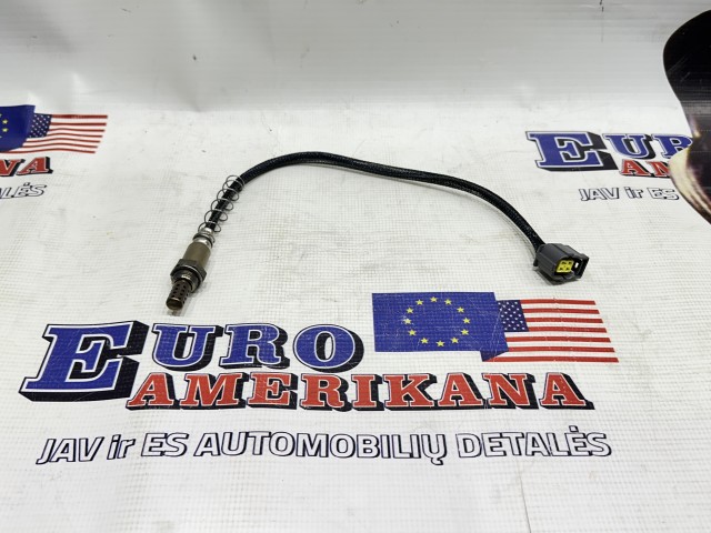 Oxygen Sensor
