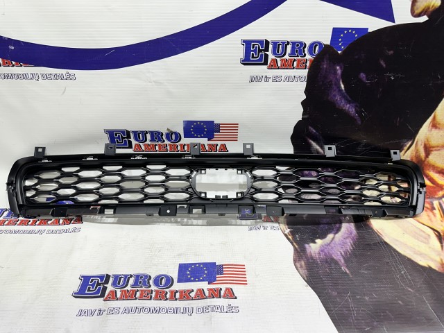 Lower Grille