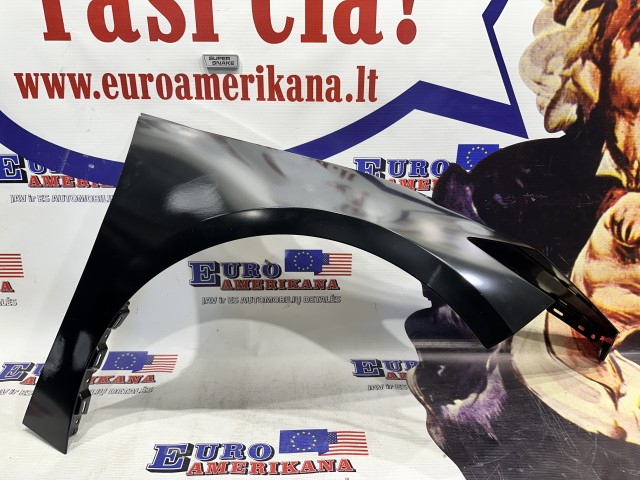 Front Fender, Right Side