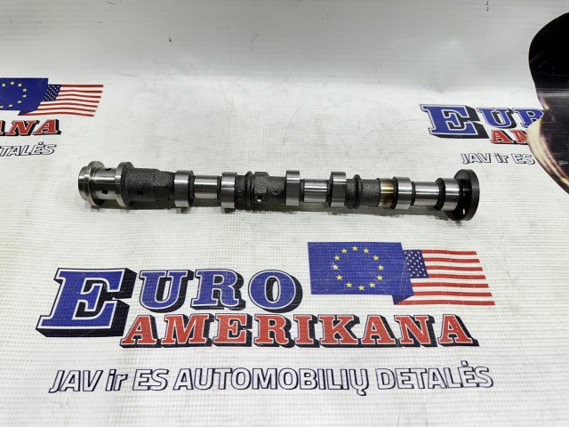 Camshaft, Left Side