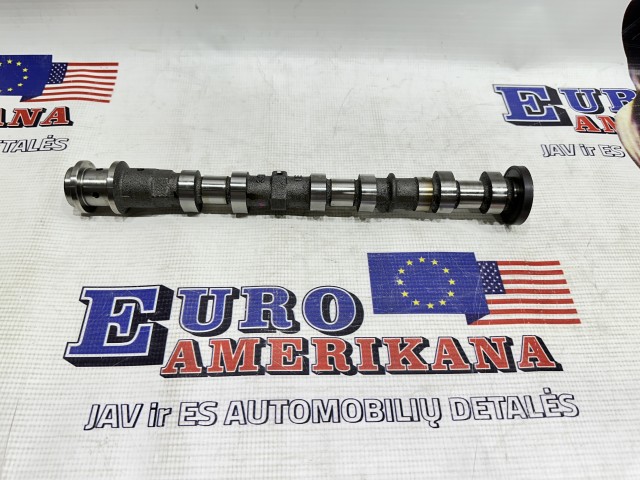 Exhaust Camshaft, Left Side