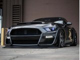 Front Bumper Kit (GT500 Style)
