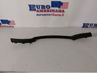 Valance Panel, RH (Outer)