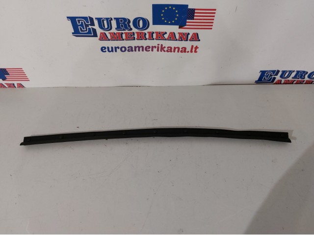 Rear Door Sill Weatherstrip, LH