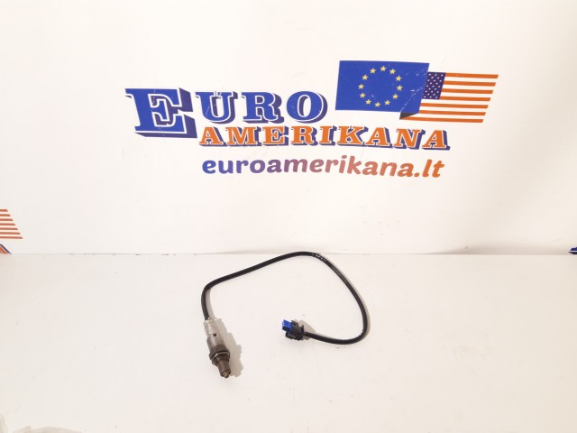 Oxygen Sensor, RH