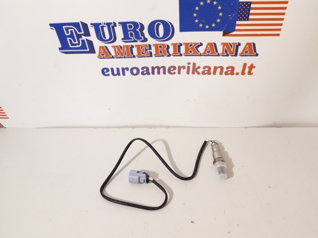 Oxygen (O2) Sensor