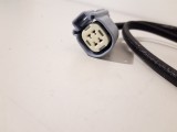Oxygen (O2) Sensor