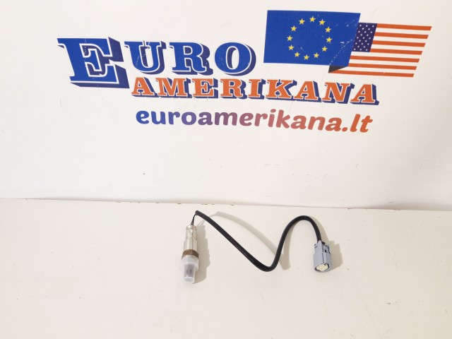 Oxygen (O2) Sensor