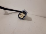 Oxygen (O2) Sensor