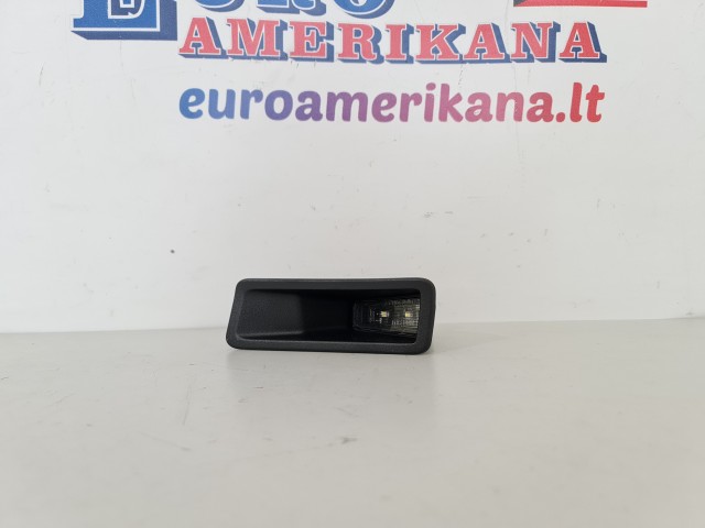 License Plate Light Assembly (left)