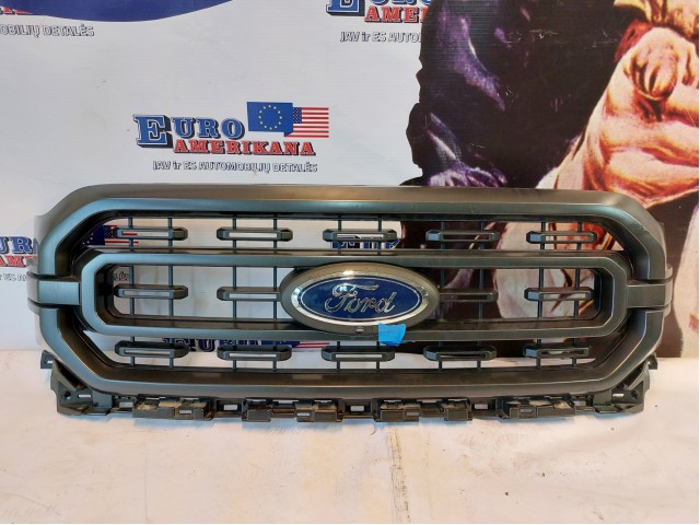 Front Grille (XLT, Takeoff)