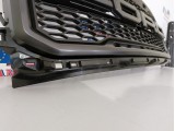 Grille (Raptor)