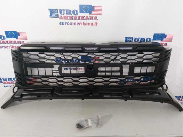 Front Grille (Raptor)