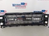 Front Grille (Raptor)