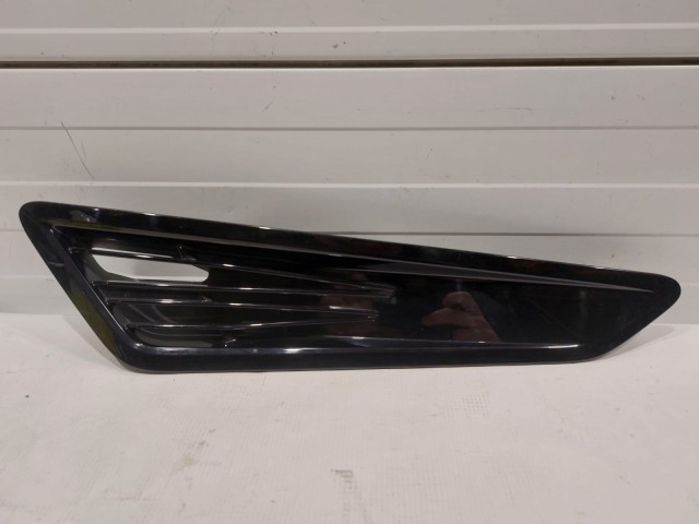 Hood Scoop, LH