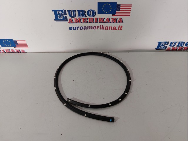 Rear Seal