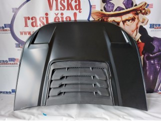 Variklio gaubtas su/ Dangteliu