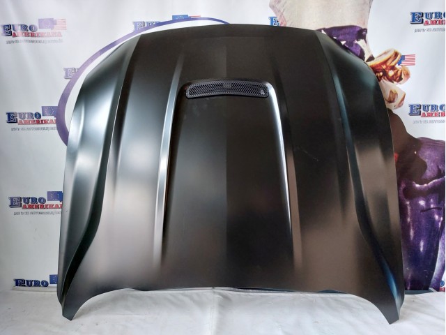 Hood (GT350 Style)