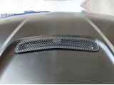Hood (GT350 Style)