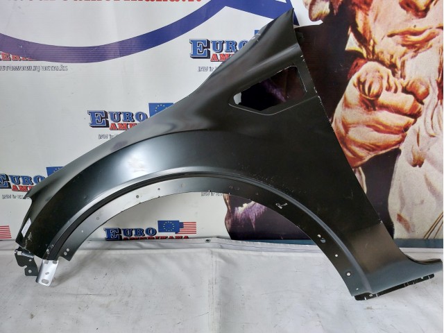 Fender, LH