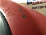 Complete Fender w/ Flare & LED (RH, Takeoff)