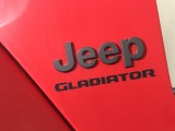 Complete Fender w/ Flare & LED (LH, Takeoff)