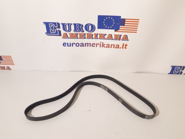 Serpentine Belt