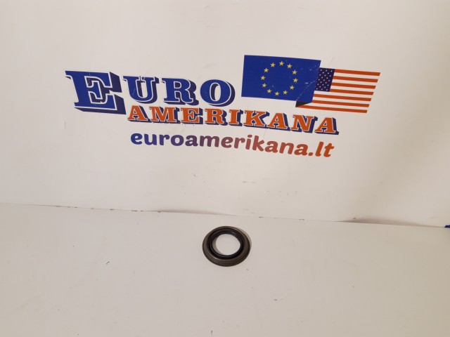 Input Shaft Seal