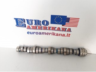 Engine Camshaft