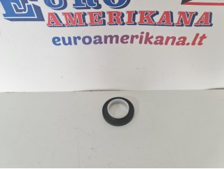 Crankshaft Seal
