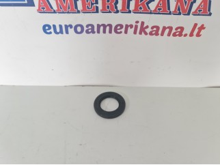 Extension Housing Seal