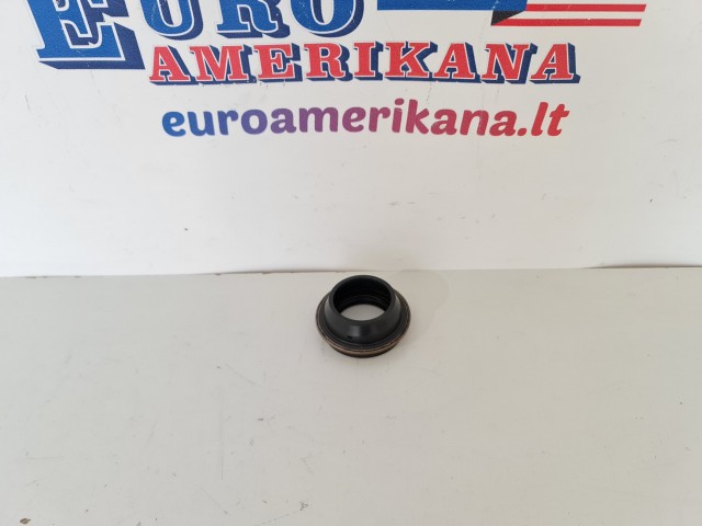 Extension Housing Seal